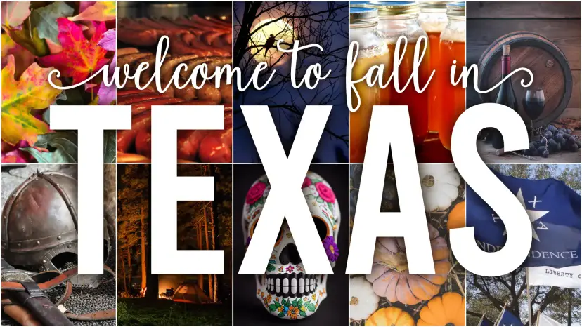 Collage graphic reading 'Welcome to fall in Texas' over autumn leaves, pumpkins, a sugar skull and other fall scenes.