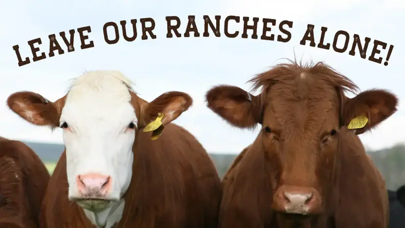 texas ranches