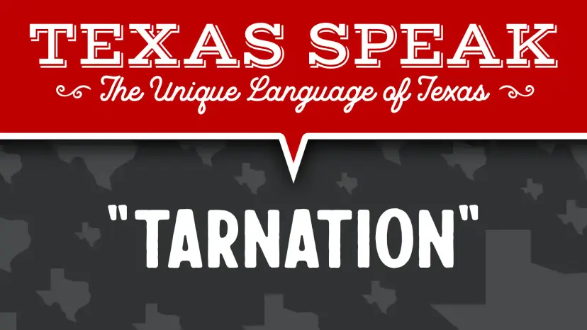 Texas Speak graphic, 'The Unique Language of Texas,' featuring the word 'Tarnation.'