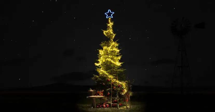 A Christmas tree strung with lights and topped with a blue star stands on dark open land beside a windmill.