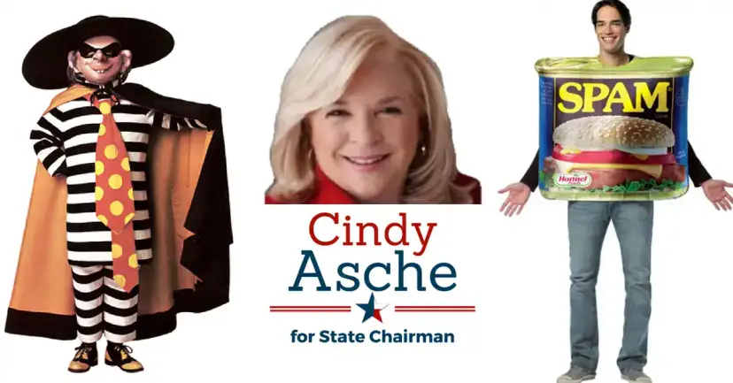 A cartoon burglar mascot, a Cindy Asche for State Chairman campaign graphic, and a man in a Spam costume.