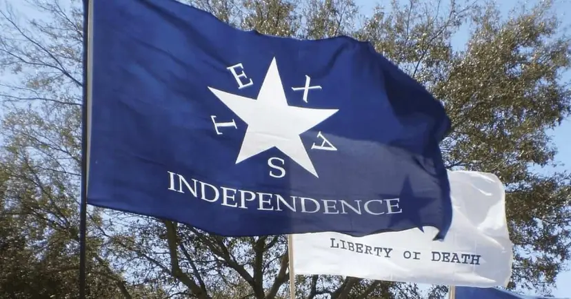 A blue 'Texas Independence' flag and a white 'Liberty or Death' flag flying among trees.
