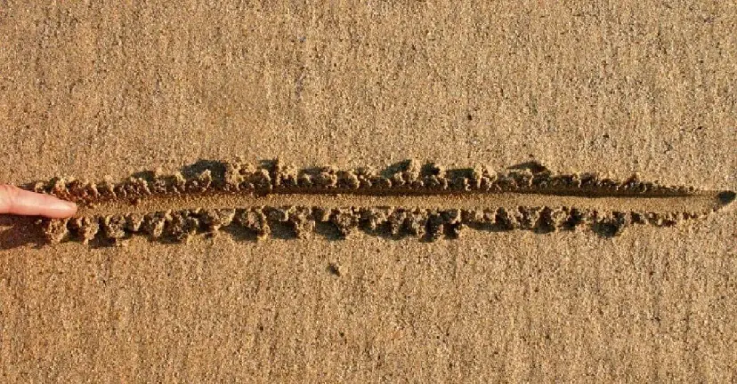 A finger drawing a line in the sand on a beach.