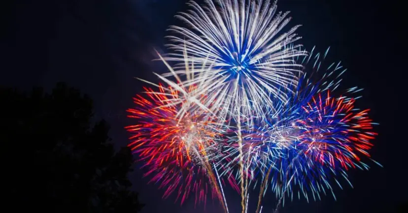 Red, white, and blue fireworks bursting against a dark night sky.