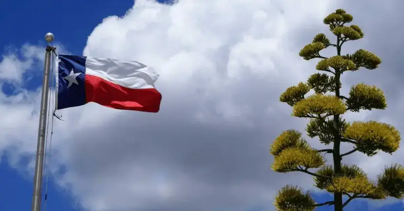 A Texas flag flies on a pole against white clouds beside a blooming century plant.