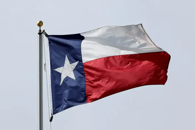 A Texas flag flying from a metal flagpole against a pale gray sky.