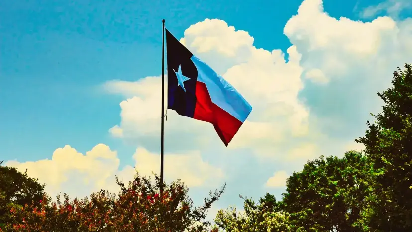 A Texas flag on a flagpole above green treetops against a blue sky with white clouds.