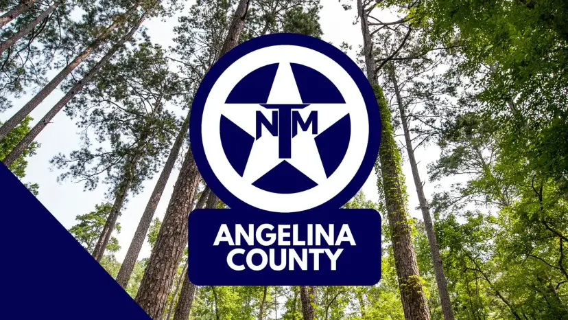 TNM Angelina County logo, a white star in a navy circle, over a view looking up at tall pine trees.