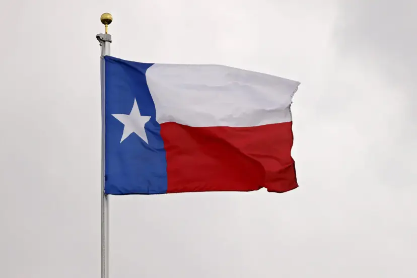 The Texas flag flying from a flagpole against a gray, overcast sky.