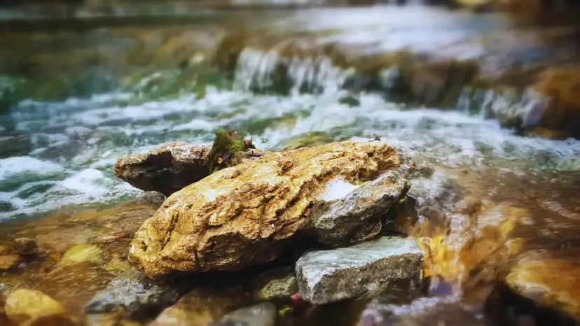 A mossy rock sits in a shallow creek with water rushing over stones behind it.