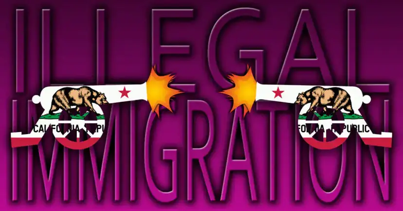 Graphic reading "Illegal Immigration" in purple, with two California bear flag cannons firing at each other.