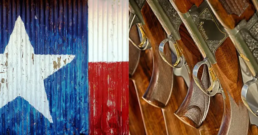Painted Texas flag on corrugated metal beside a row of rifles with carved wooden stocks.
