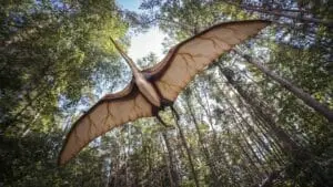 A pterosaur with wide leathery wings flying above tall forest trees, seen from below.