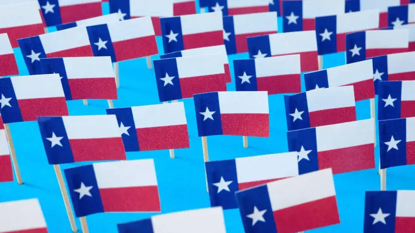 Rows of small Texas flags on toothpicks standing against a light blue background.