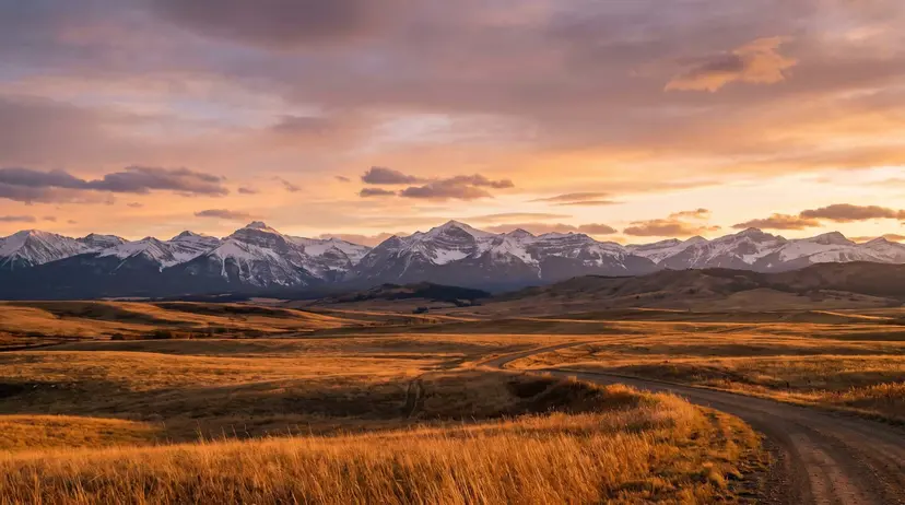 A sweeping Alberta foothills landscape at golden hour, a winding road through golden prairie grass leading toward the snow-capped Canadian Rocky Mountains under a warm sunset sky