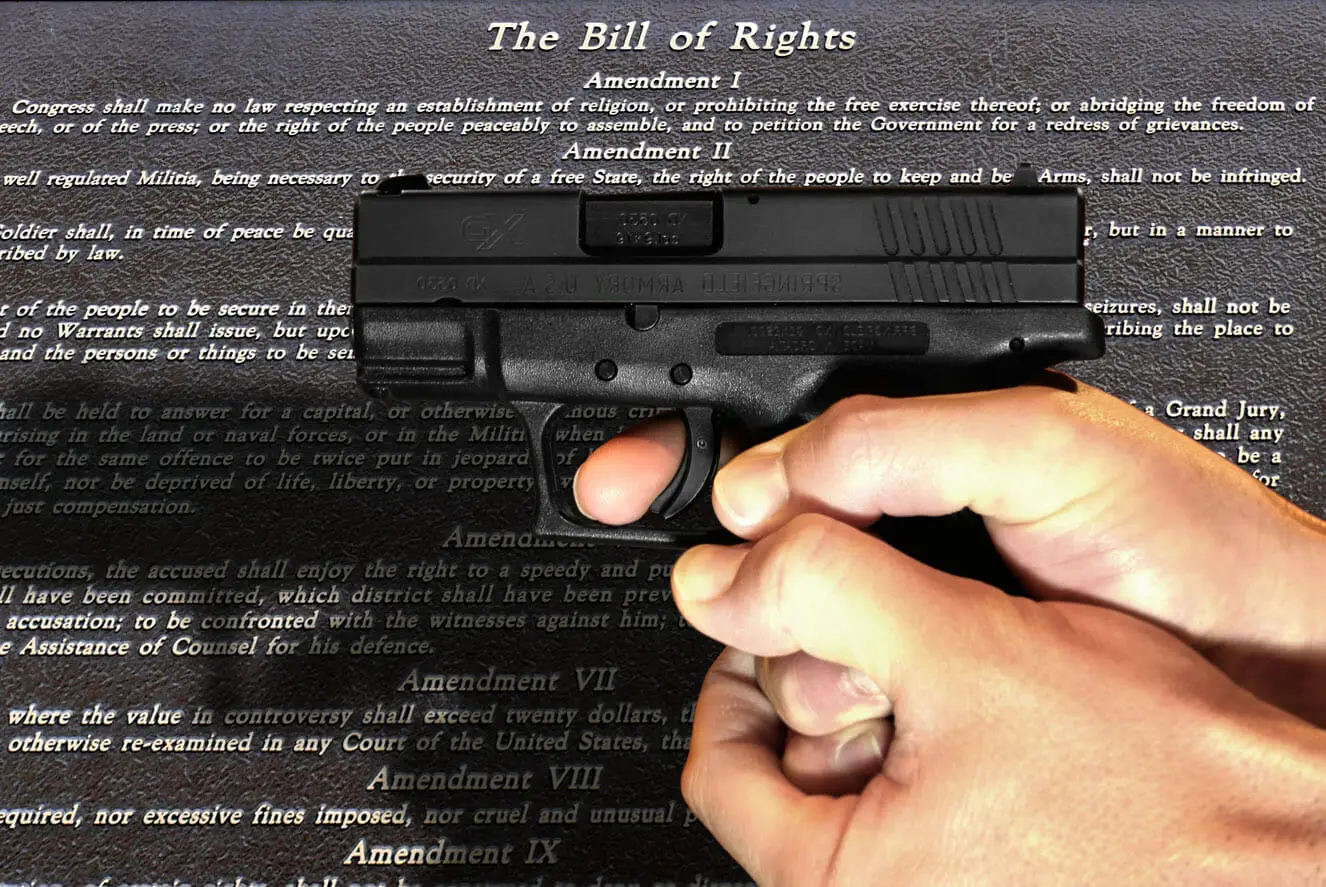 Gun