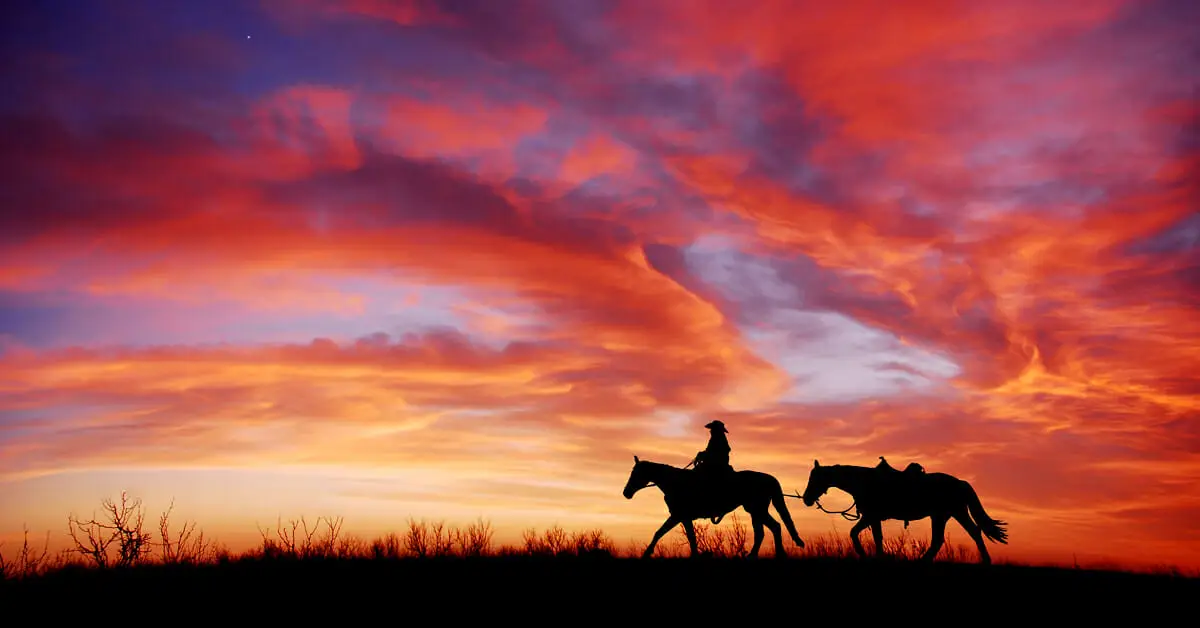 LoneStarCowboy2-copy