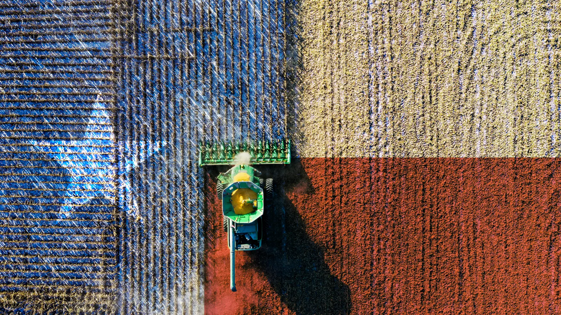 TX-flag-crop-farming