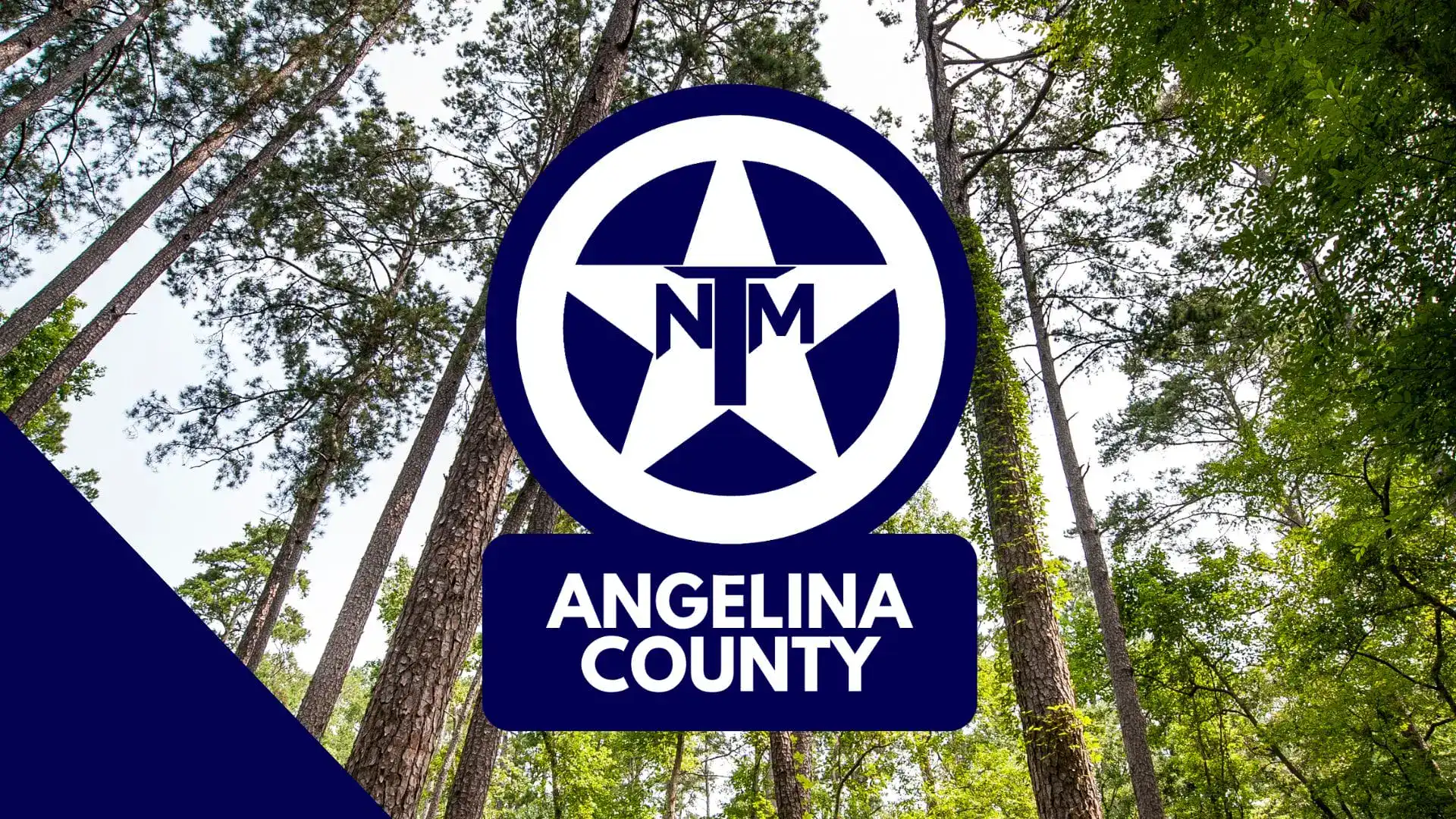 TNM Angelina County logo, a white star in a navy circle, over a view looking up at tall pine trees.