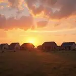 Texas-Build-to-Rent-Boom-Outpaces-Federal-Housing-Failures