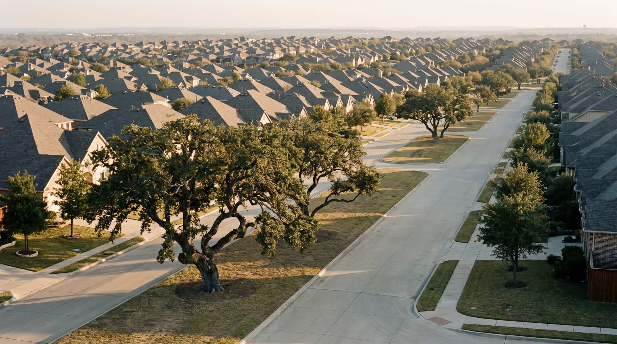 Rows of suburban Texas rooftops stretching to the horizon at golden hour.